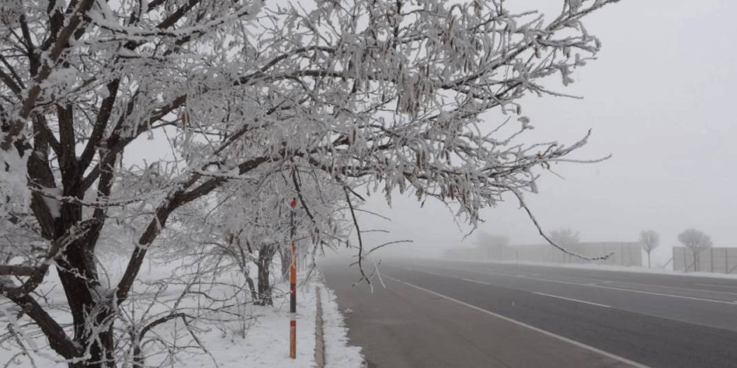 Bitlis’te dondurucu soğuk etkili oluyor: Hava sıcaklığı eksi 13,8 dereceyi gördü 10